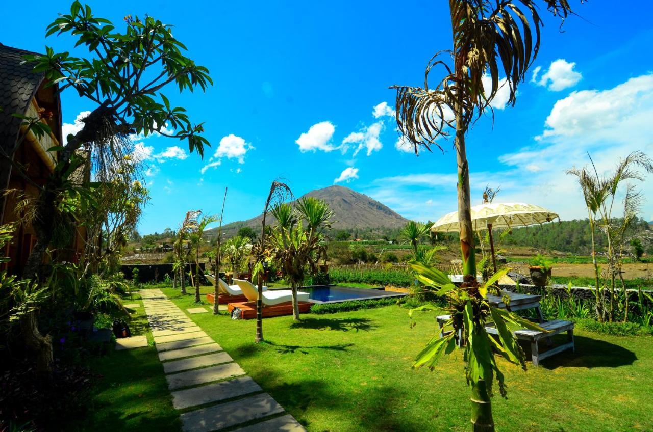 לינה וארוחת בוקר Kintamani Batur Panorama מראה חיצוני תמונה